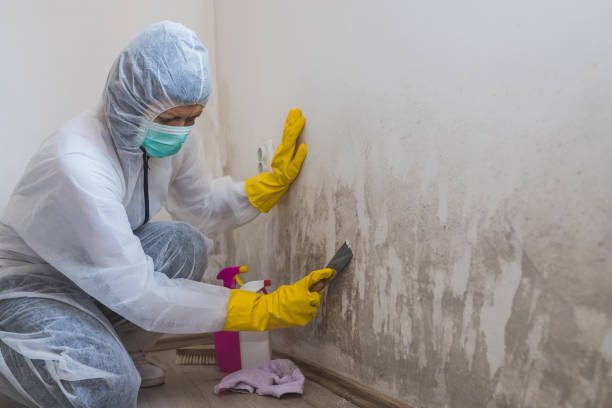 Water Damage Restoration in Harrisburg, IL