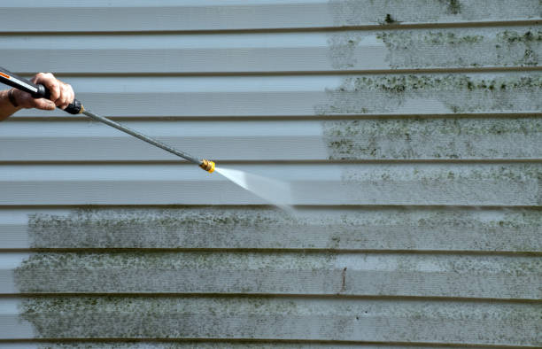 Best Attic Mold Removal  in Harrisburg, IL