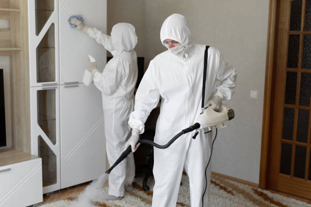 Best Mold Testing  in Harrisburg, IL