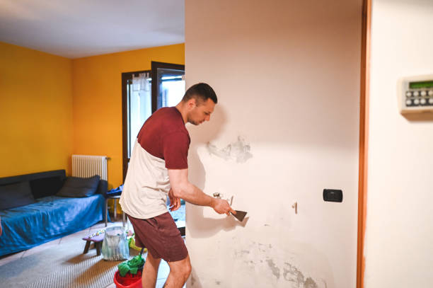 Best Black Mold Removal  in Harrisburg, IL